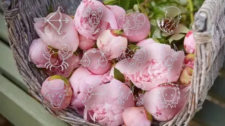 Horoscopul ultimului weekend din lună aduce vești bune pentru zodii. Nativii care vor străluci la final de mai