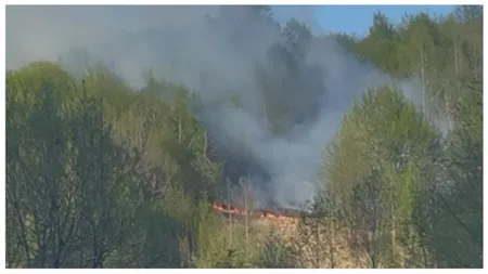 Incendiu de pădure pe Valea Anieşului. Focul a pornit de la o ţigară aruncată aprinsă