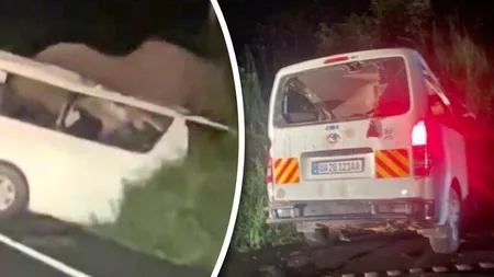 Tragedie într-un parc național din Uganda. Trei oameni au murit după ce un microbuz a lovit un elefant care traversa drumul