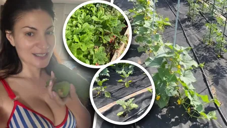 Ioana Ginghină, mândră de curtea casei sale. Actrița se ocupă de flori, iar soțul ei de grădina de legume: „Deja începe să dea roade!”