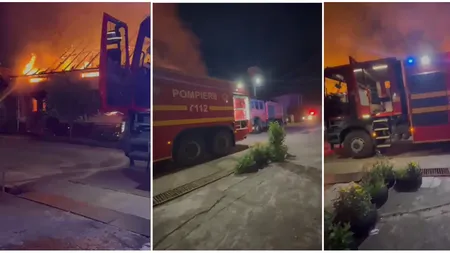 Incendiu de proporții în Caraș-Severin, casele oamenilor au fost cuprinse de flăcări. Zeci de păsări au murit