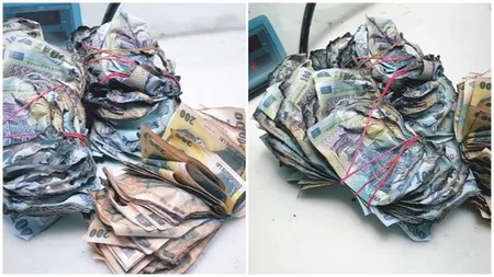 Unde poți schimba gratuit bancnotele deteriorate în România. BNR și băncile comerciale sunt obligate să le înlocuiască