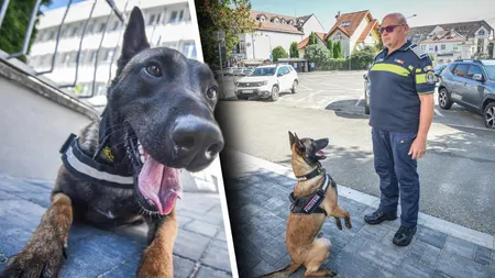 Un polițist din Sibiu refuză să se pensioneze pentru a fi alături de partenerul canin. Patrupedul are o specializare unică în România