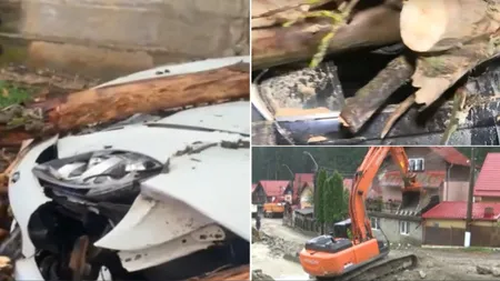 Vremea rea a făcut prăpăd în România. Copaci căzuți peste mașini, două victime la spital / Oamenii sunt disperați, furtunile le-au distrus munca de-o viață