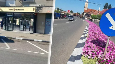 Care este semnificația bordurilor vopsite în alb și negru. Marcajul rutier care reduce semnificativ riscul producerii accidentelor