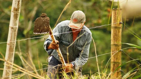 Ministrul Mediului anunță închisoare pentru fermierii care folosesc pesticide și apă pentru irigarea culturilor
