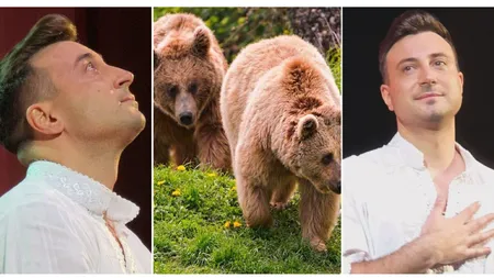 Valentin Sanfira a dat nas în nas cu doi urși: „Mari, imenși”. Artistul a trăit clipe de panică: „Nu am mai văzut niciodată aici la cabană” VIDEO