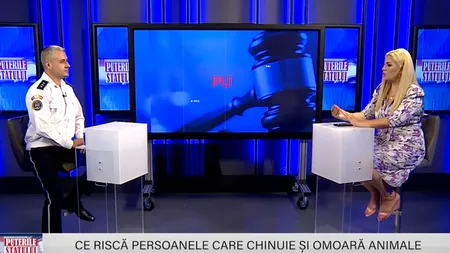 EXCLUSIV PUTERILE STATULUI. Comisarul-șef Daniel Radu, care conduce Poliția Animalelor, dezvăluie ce riscă persoanele care chinuie și omoară animale