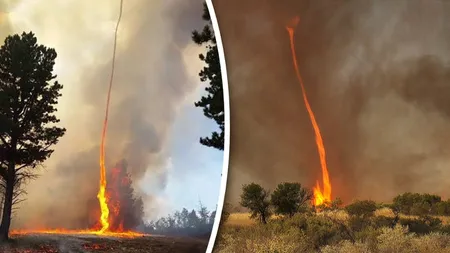 Europa se confruntă cu fenomenul tornadelor de foc. Incendiile de vegetație sunt tot mai greu de contracarat