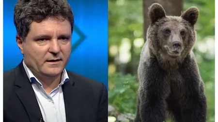 Nicuşor Dan insistă cu salvarea urşilor 