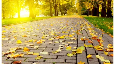 Prognoza meteo. Noi zile toride de vară, vremea bună se prelungeşte