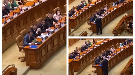 Siegfried Mureşan a primit mentă la ghiveci: 