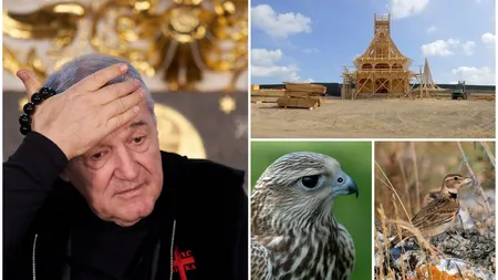 Amendă imensă decisă de instanţă pentru fiica lui Gigi Becali. Procesul nu s-a încheiat