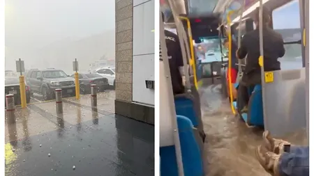 Furtună cu putere de uragan la Toronto. Peste 50.000 de locuinţe nu au curent, traficul aerian a fost blocat total VIDEO