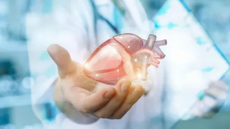 Începe Congresul dedicat organelor artificiale. România devine un punct de întâlnire pentru cercetarea medicală europeană