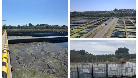 DOCUMENT De unde a venit mirosul insuportabil care a fost simțit de mii de bucureșteni în luna august. Garda de Mediu a dat amenzi de aproape 800.000 de lei. PRECIZĂRI Apa Nova