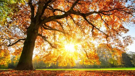 Prognoza meteo. Vreme de vară târzie în toată România