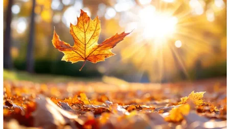 Top 5 zodii care pot avea parte de o surpriză până la finalul lunii septembrie