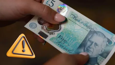 Se schimbă banii. Pufinul, bufniţa de hambare, bondarul şi ariciul elimină figurile istorice de pe bancnote