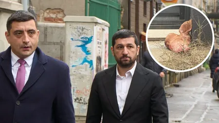 Marius Lulea îl invită pe George Simion la o examinare cu detectorul de minciuni în scandalul capetelor de porc: „Consider regretabil faptul că, în loc să își prezinte scuzele publice, George Simion construiește o narațiune paralelă”
