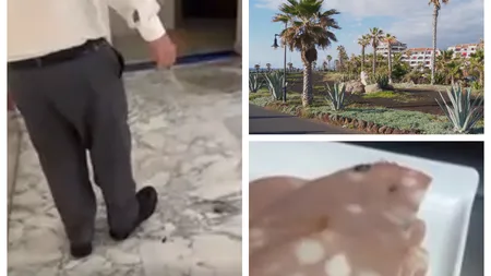 Vacanță de coșmar pentru un turist cazat la un hotel all-inclusive din Tenerife: ”Gândacii mișunau peste tot, am găsit chiar și în mâncare”