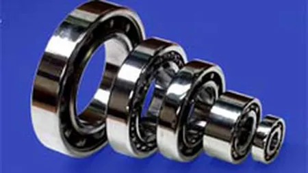 Rulmenti Barlad cumpara o companie din Ungaria pentru 3,5 mil. euro