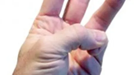 Actiunile companiilor europene au atins luni noi maxime