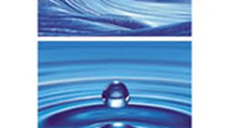 Research International si-a propus venituri anuale de 3 mil. euro din cercetare de marketing