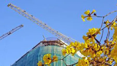 Dafora Medias urmareste cresterea profitului cu 40% in 2007