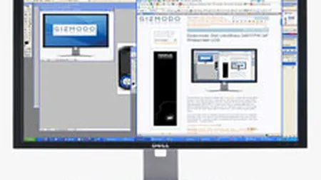 Vanzarile de monitoare widescreen pot creste de 4 ori in 2007