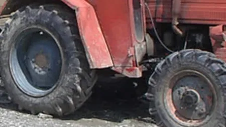 \Tractorul\ va fi lichidata de o companie din Cluj-Napoca