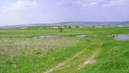 Preturile terenurilor din Romania au crescut cu 20% in 2006