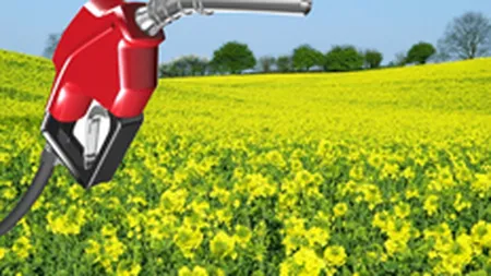 GreenFuel va produce biodiesel si bioetanol cu materie prima din Romania