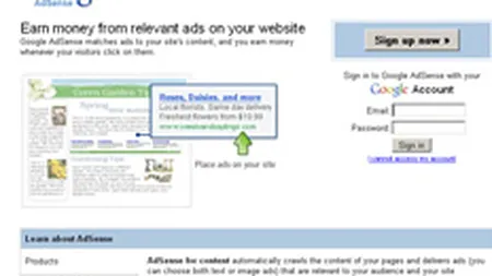 Google va lansa un serviciu de reclame video Flash