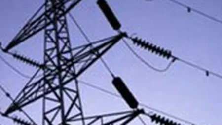 Enel preia astazi Electrica Muntenia Sud, pentru 820 mil.euro