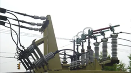 Electrica a investit 7 mil. de euro in statia de transformare Timpuri Noi