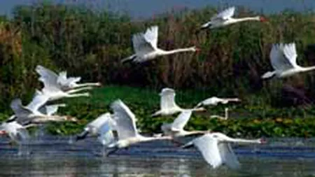 Reabilitarea drumurilor de acces in Delta Dunarii ar creste turismul cu 20%