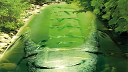 Sister&Co a lansat ambalajul pentru berea premium Gosser