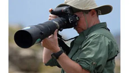 Cererea pe piata foto migreaza spre camerele profesionale