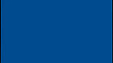 Compania ruseasca Luxoft ar putea intra pe piata IT din Romania