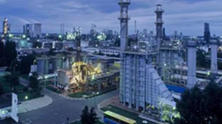 Intarirea leului si problemele tehnice, printre cauzele scaderii performantei Petrom in T2