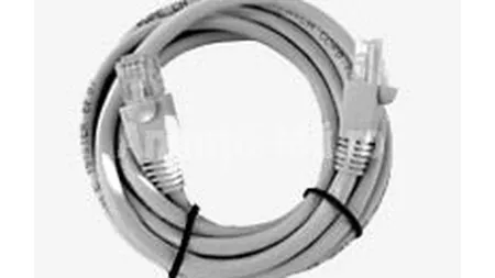 ProCa estimeaza afaceri de 1 mil. euro pe an in parteneriat cu Molex