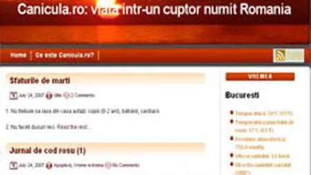 Canicula.ro ar putea deveni o afacere