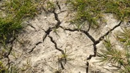 Remes: Romania va avea o strategie antiseceta in maxim 3 luni