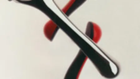 Elgeka Romania tinteste vanzari de 2 mil. euro la produse Schick-Wilkinson