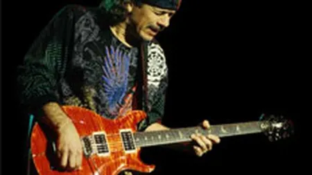 Piata chitarelor de marca, incetinita de produsele contrafacute si de taxele vamale