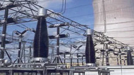 Noile companii desprinse din Electrica vor functiona de la 1 septembrie