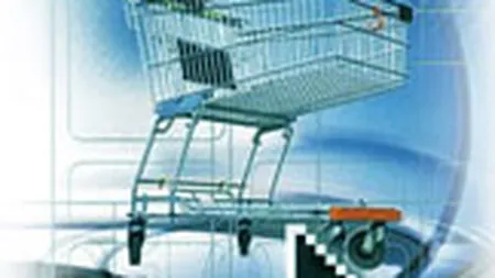 Vanzarile online in SUA ar putea atinge 200 mld. $ in 2007