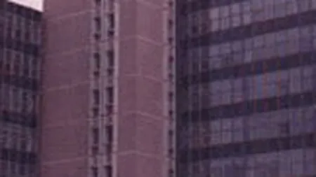 Fortus Iasi a inregistrat pierderi de 16,4 mil. lei in S1