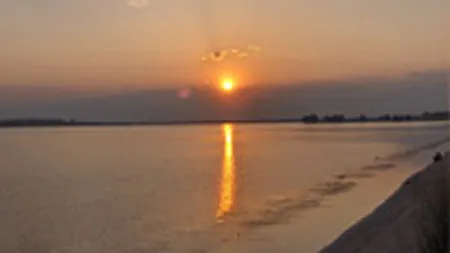 Nanette Real Estate si-a marit de 25 de ori profitul operational la sase luni